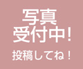 玉ねぎの植え付け