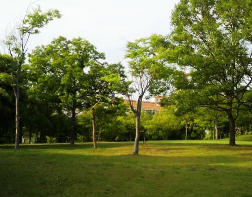 gakuennishi-park-6.jpg